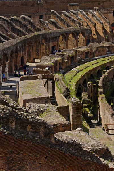 Coliseum of Rome #48